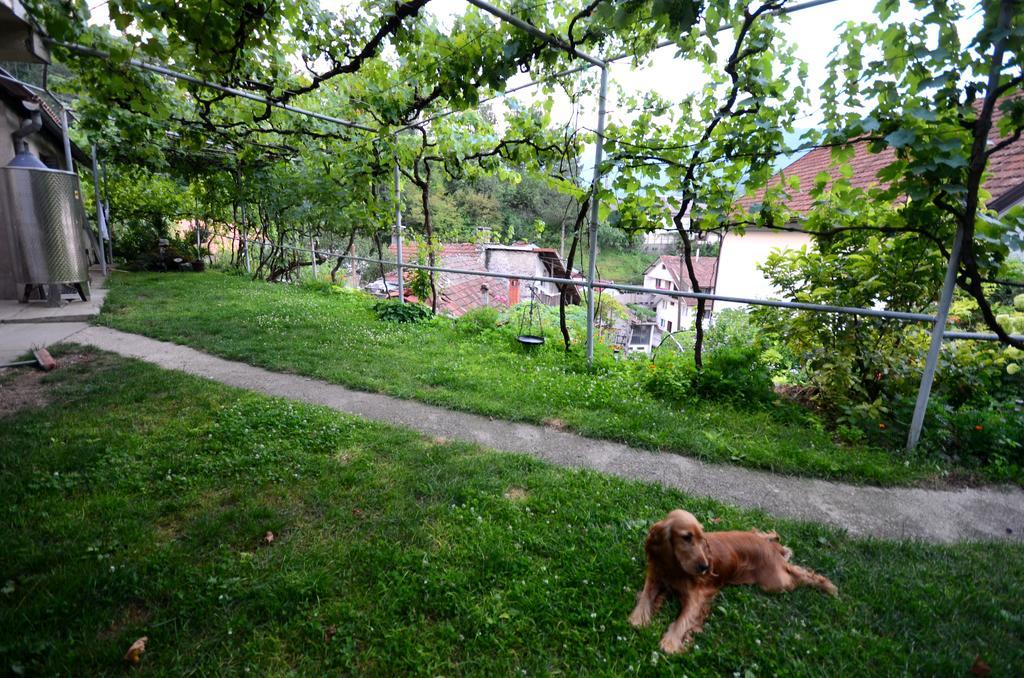 Guest House Konjic Dış mekan fotoğraf