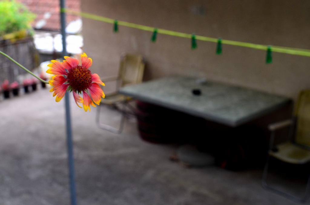 Guest House Konjic Dış mekan fotoğraf